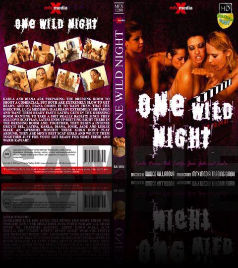 One Wild Night - HD
